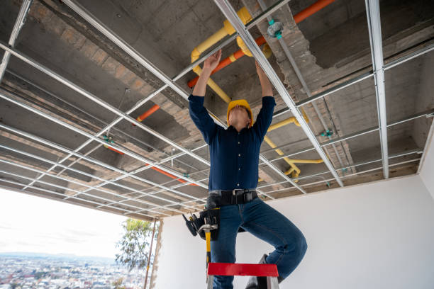 Best Emergency Plumbing Repair  in Monument, CO